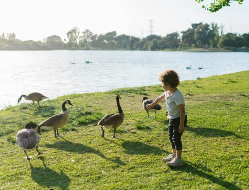 A Winter of Discovery: Local Animal Adventures for Families