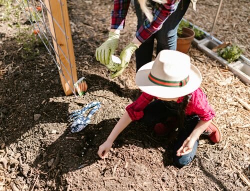 School Holiday Care: Balancing Fun and Learning