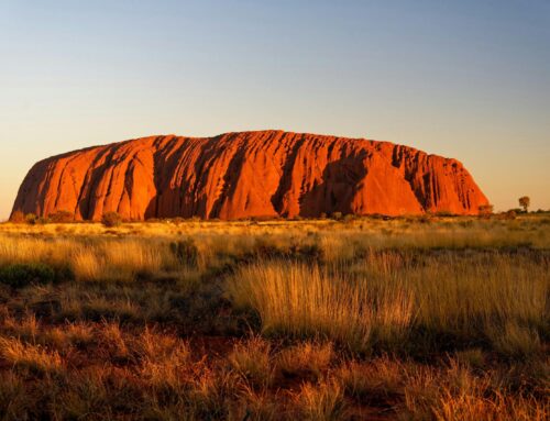 Indigenous Storytelling: Cultural Education Programs